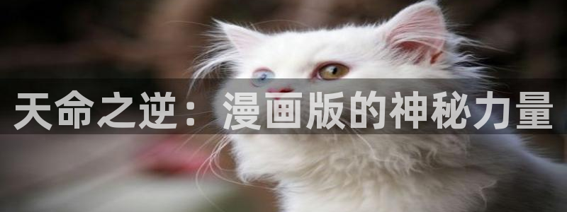 天堂漫画在线免费下载：天命之逆：漫画版的神秘力量